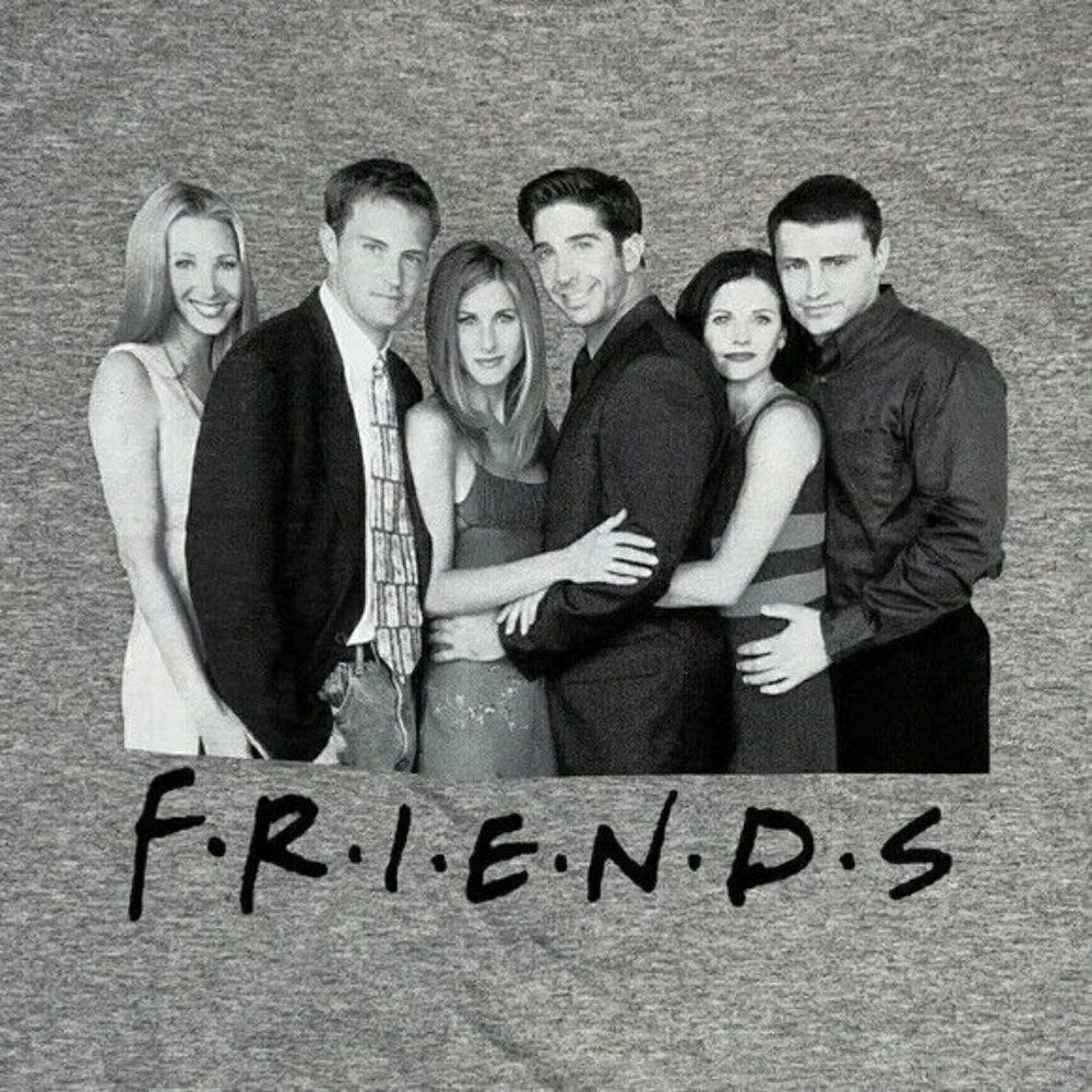 Ripple Junction Friends TV Show Grey T-Shirt Unisex Medium New